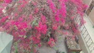 مجتمع اقامتی سرای کهن