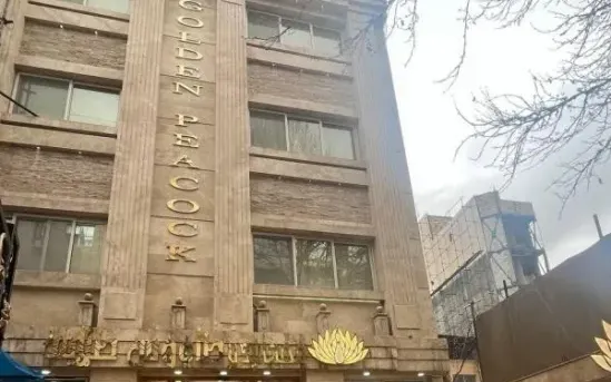 طاووس طلایی